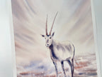 Antheope Oryx - Original Watercolor Painting
