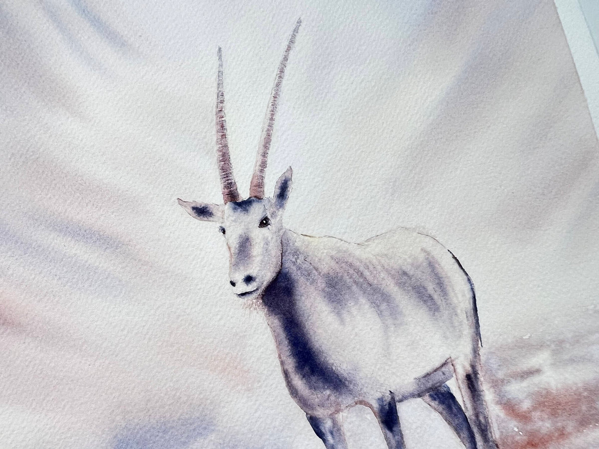 Antheope Oryx - Original Watercolor Painting