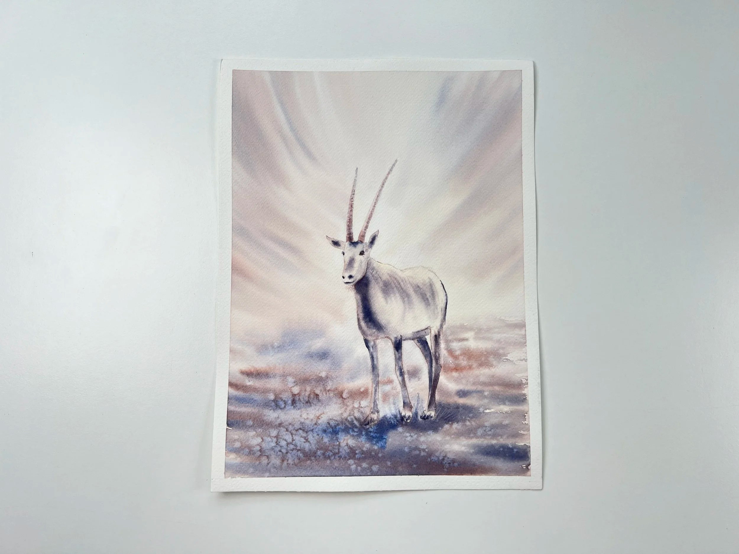 Antheope Oryx - Original Watercolor Painting