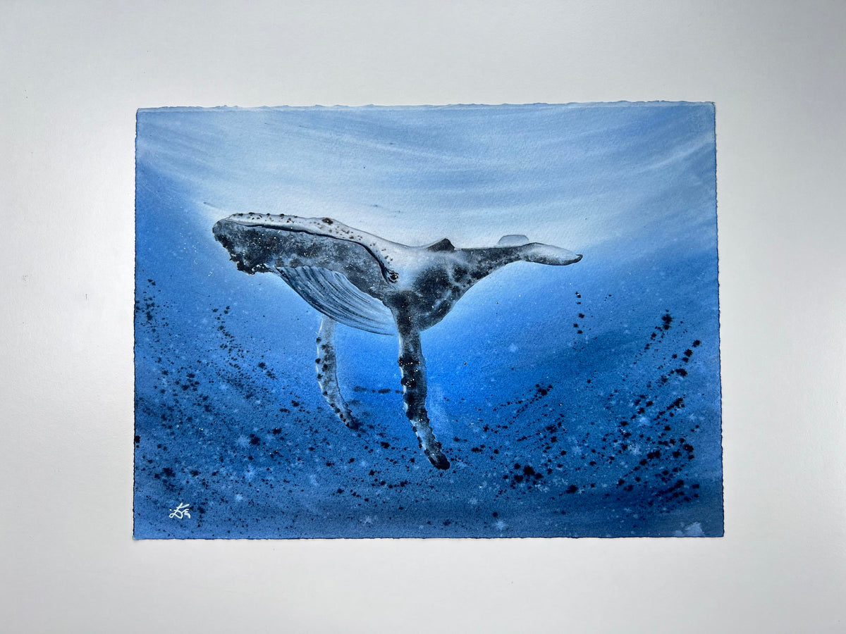 Humpback Whale  - Original Watercolor Painting