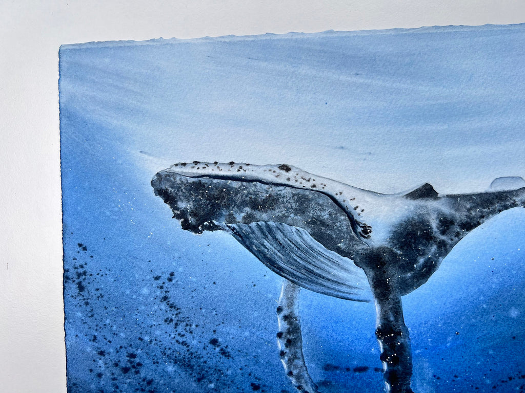 Humpback Whale  - Original Watercolor Painting