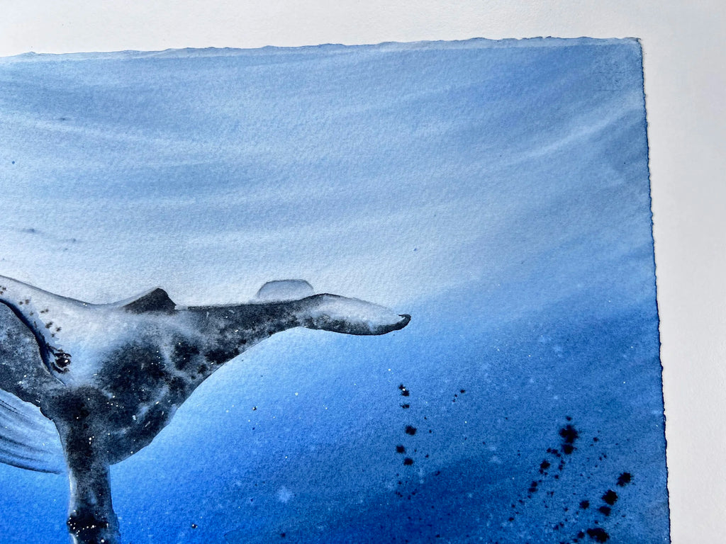 Humpback Whale  - Original Watercolor Painting