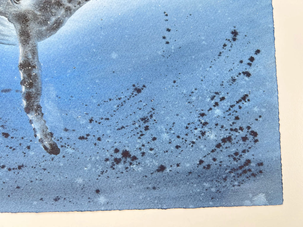 Humpback Whale  - Original Watercolor Painting