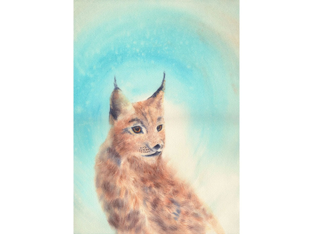 Iberian Lynx - Art Print