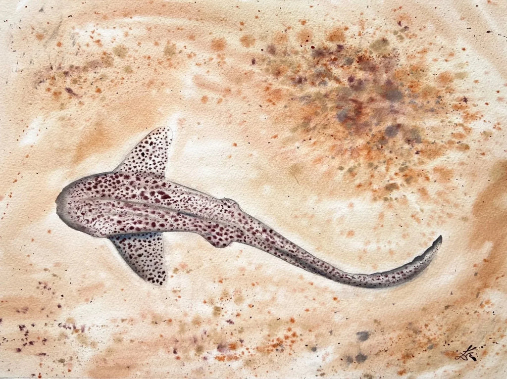 Leopard Shark  - Original Watercolor Painting