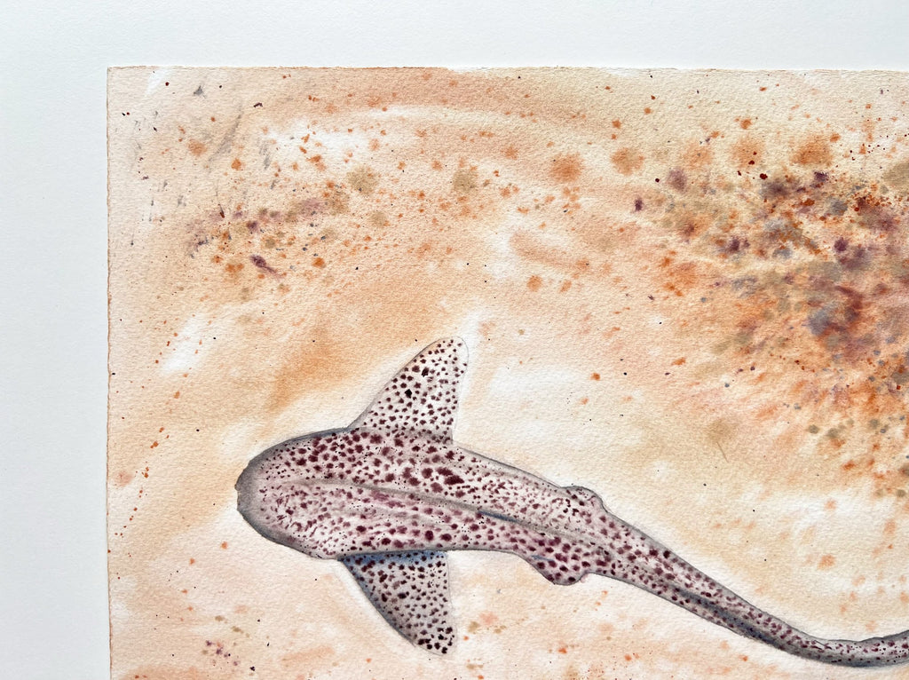 Leopard Shark  - Original Watercolor Painting