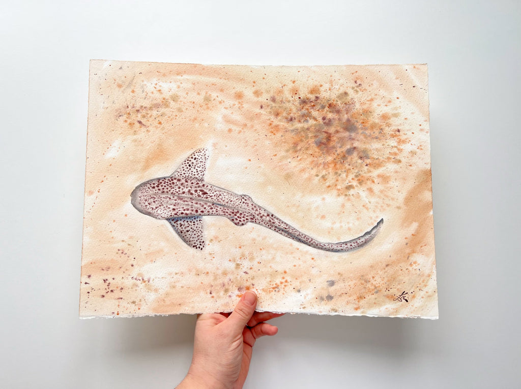 Leopard Shark  - Original Watercolor Painting