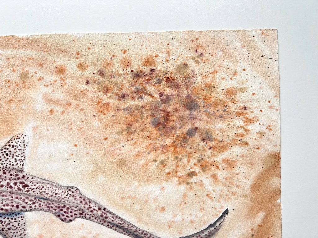 Leopard Shark  - Original Watercolor Painting