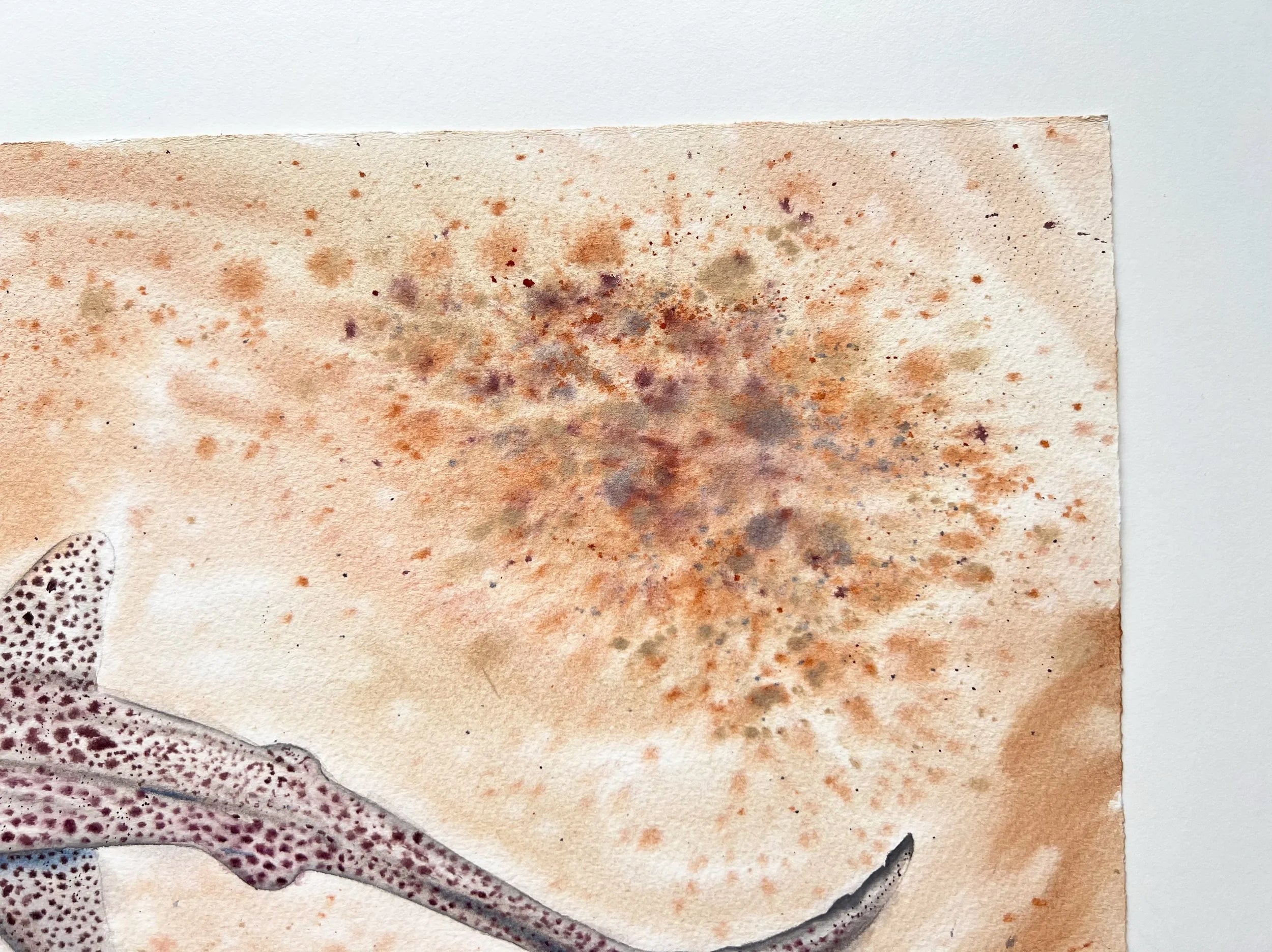 Leopard Shark  - Original Watercolor Painting