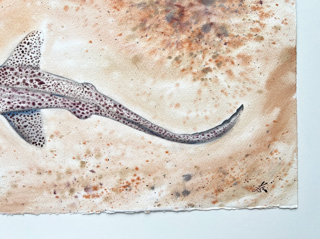 Leopard Shark  - Original Watercolor Painting