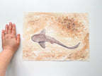 Leopard Shark  - Original Watercolor Painting