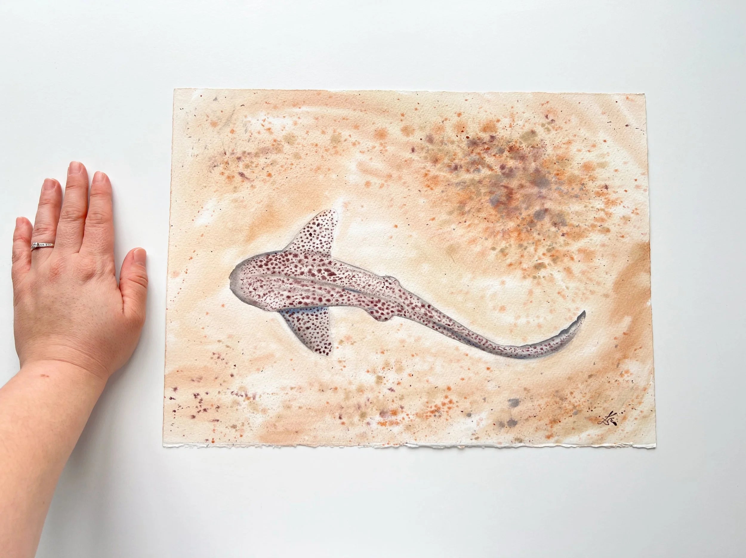 Leopard Shark  - Original Watercolor Painting