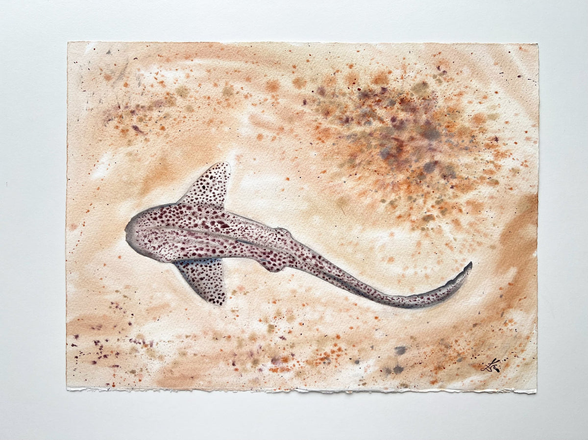 Leopard Shark  - Original Watercolor Painting