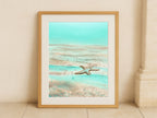Mint Green Starfish - Art Print