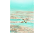 Mint Green Starfish - Art Print