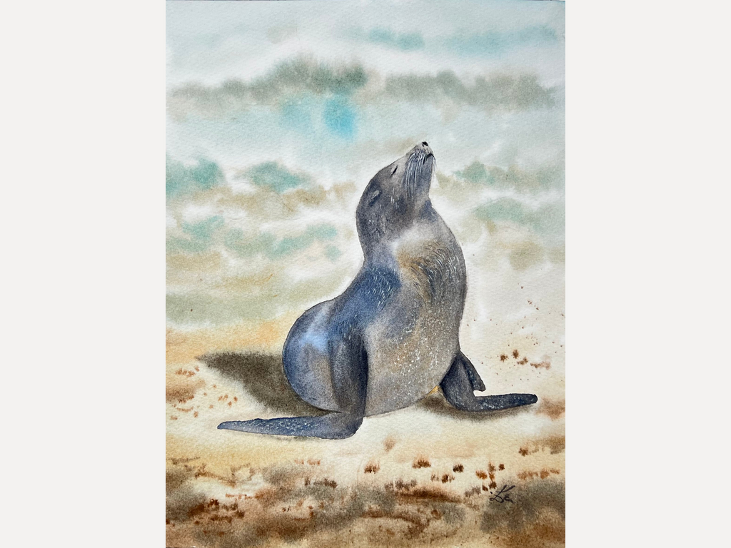 Sunbathing Seal  - Original Watercolor Painting
