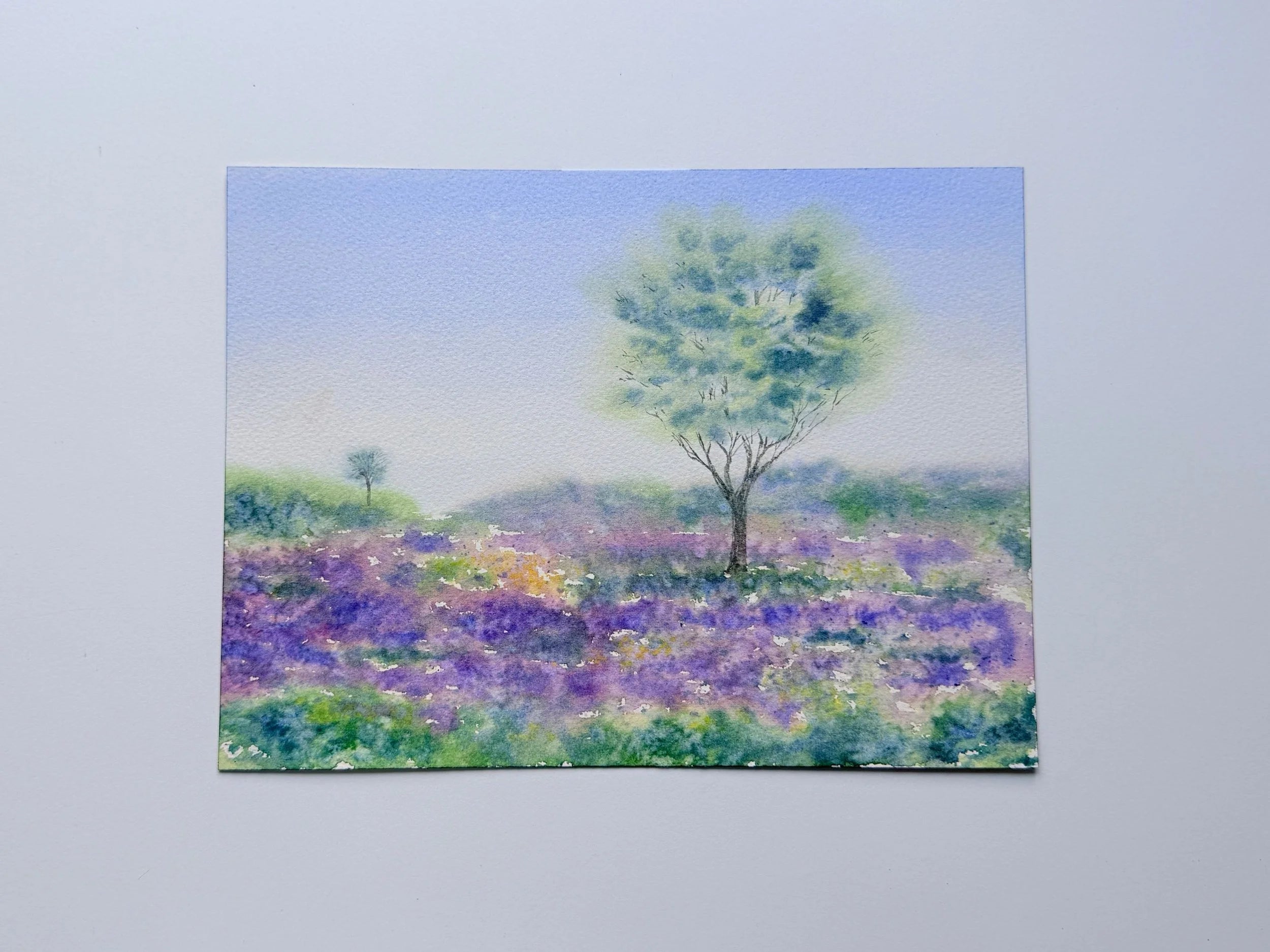 Wild Lavender Meadow - Original Watercolor Painting