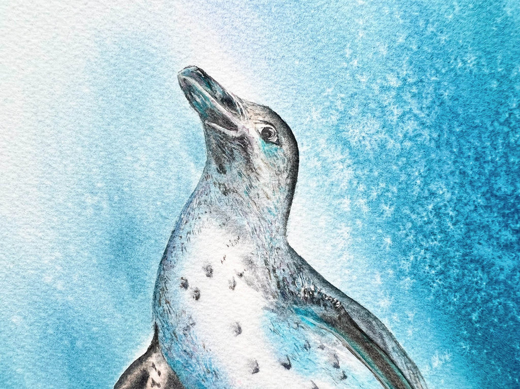 Galapagos Penguin  - Original Watercolor Painting