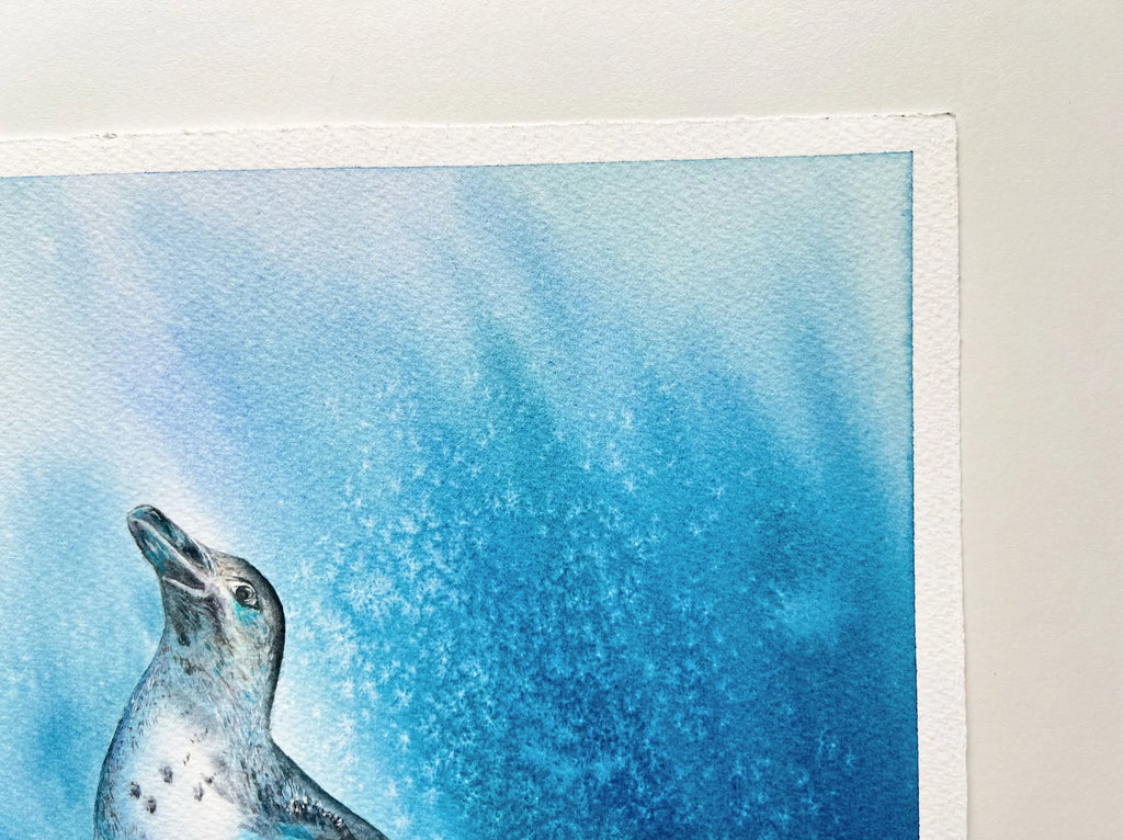 Galapagos Penguin  - Original Watercolor Painting