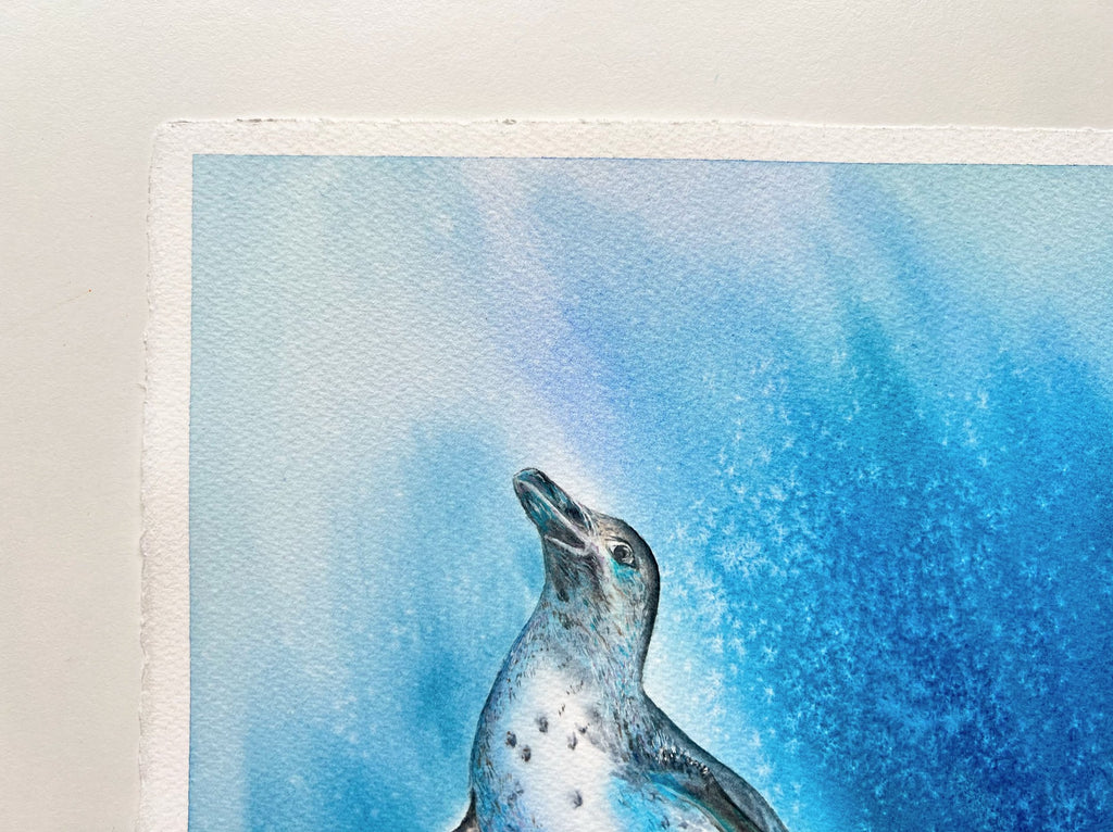 Galapagos Penguin  - Original Watercolor Painting