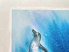 Galapagos Penguin  - Original Watercolor Painting