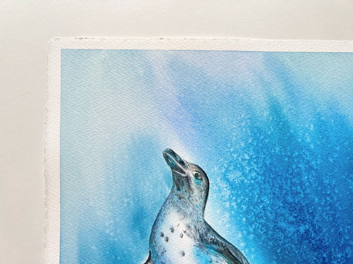 Galapagos Penguin  - Original Watercolor Painting