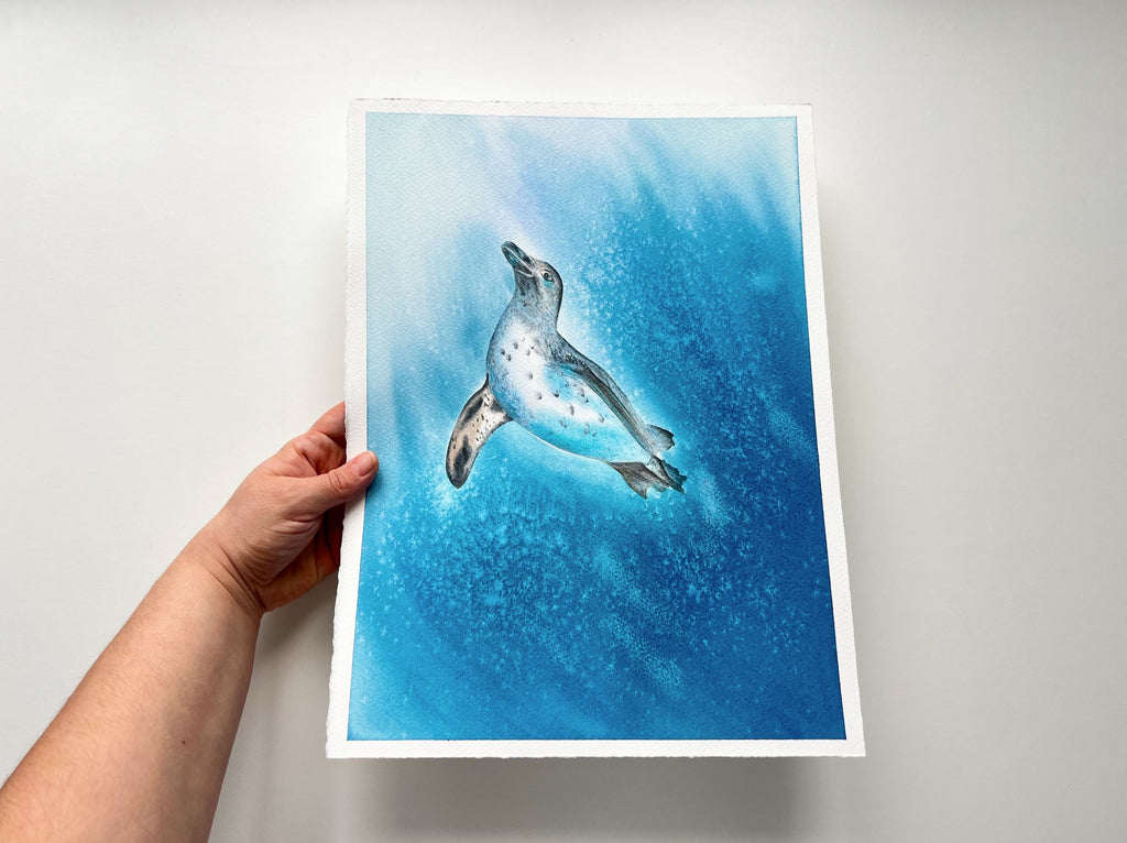 Galapagos Penguin  - Original Watercolor Painting