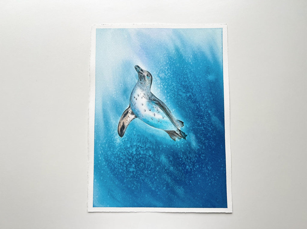 Galapagos Penguin  - Original Watercolor Painting
