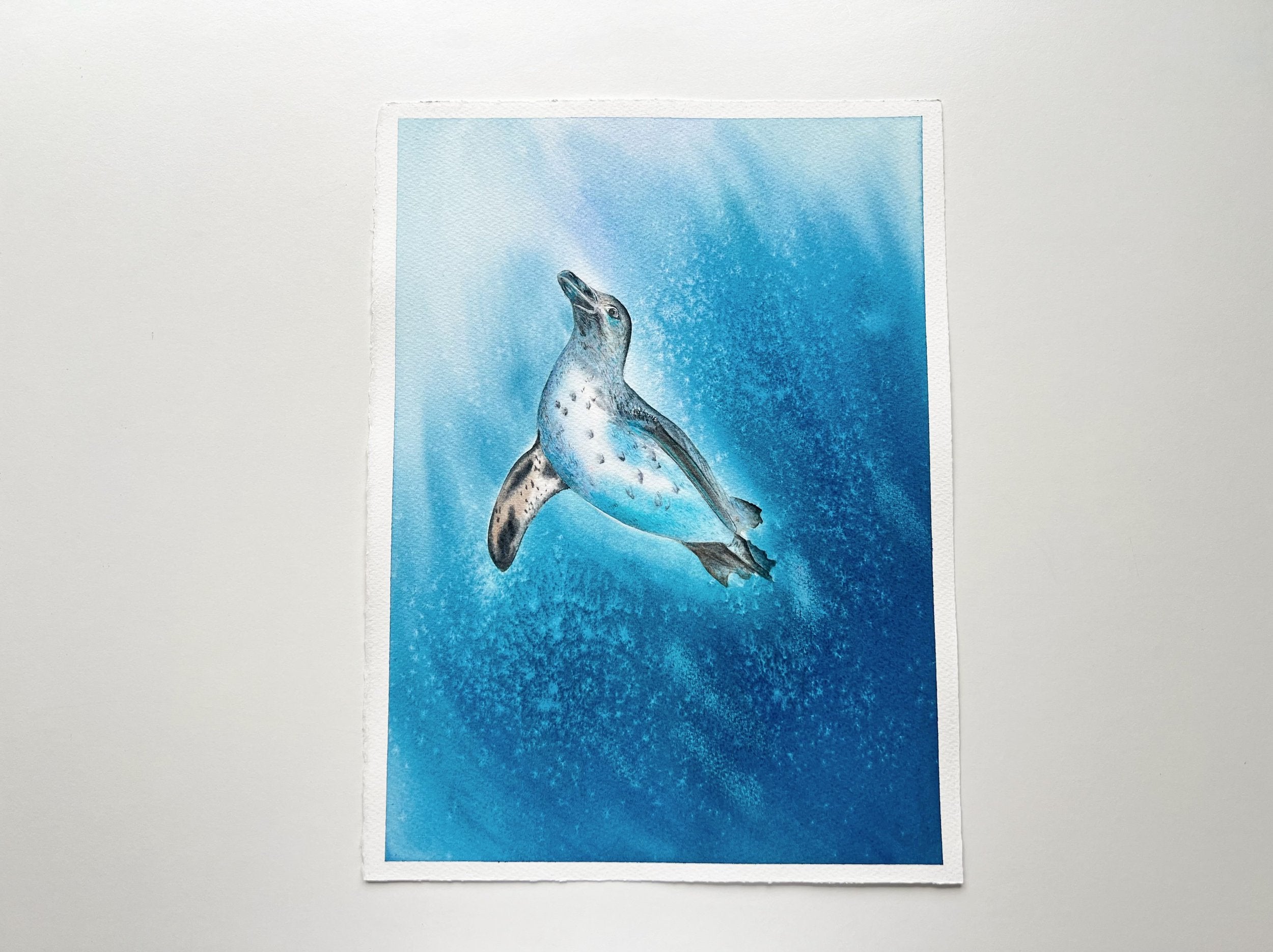 Galapagos Penguin  - Original Watercolor Painting