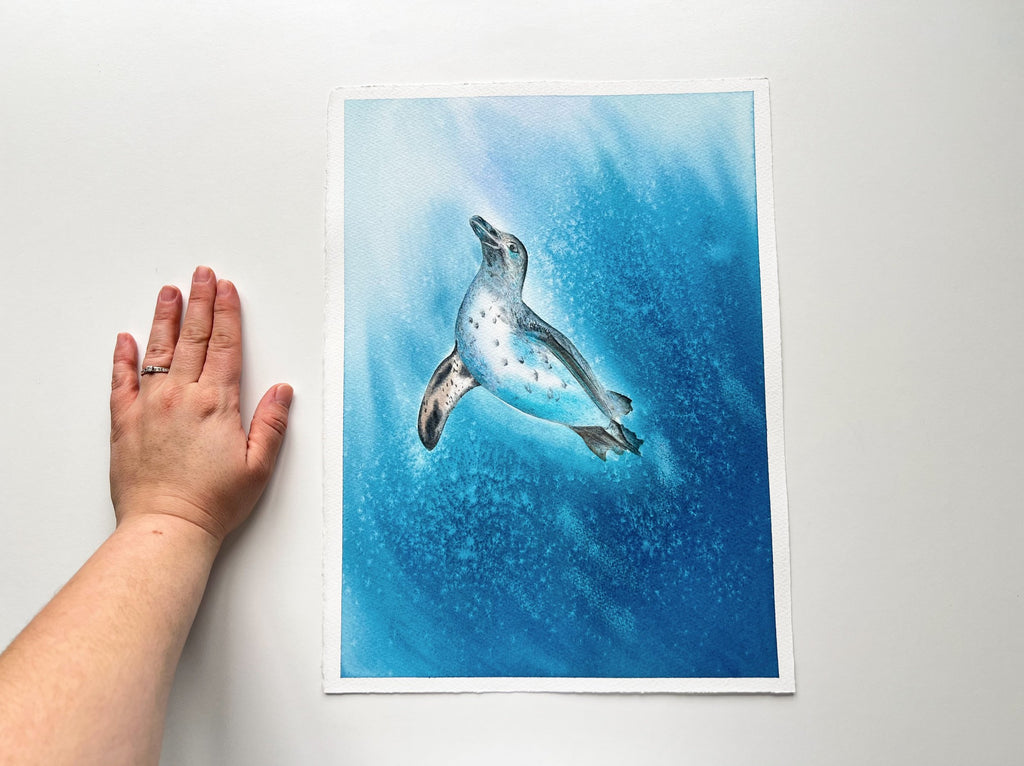 Galapagos Penguin  - Original Watercolor Painting