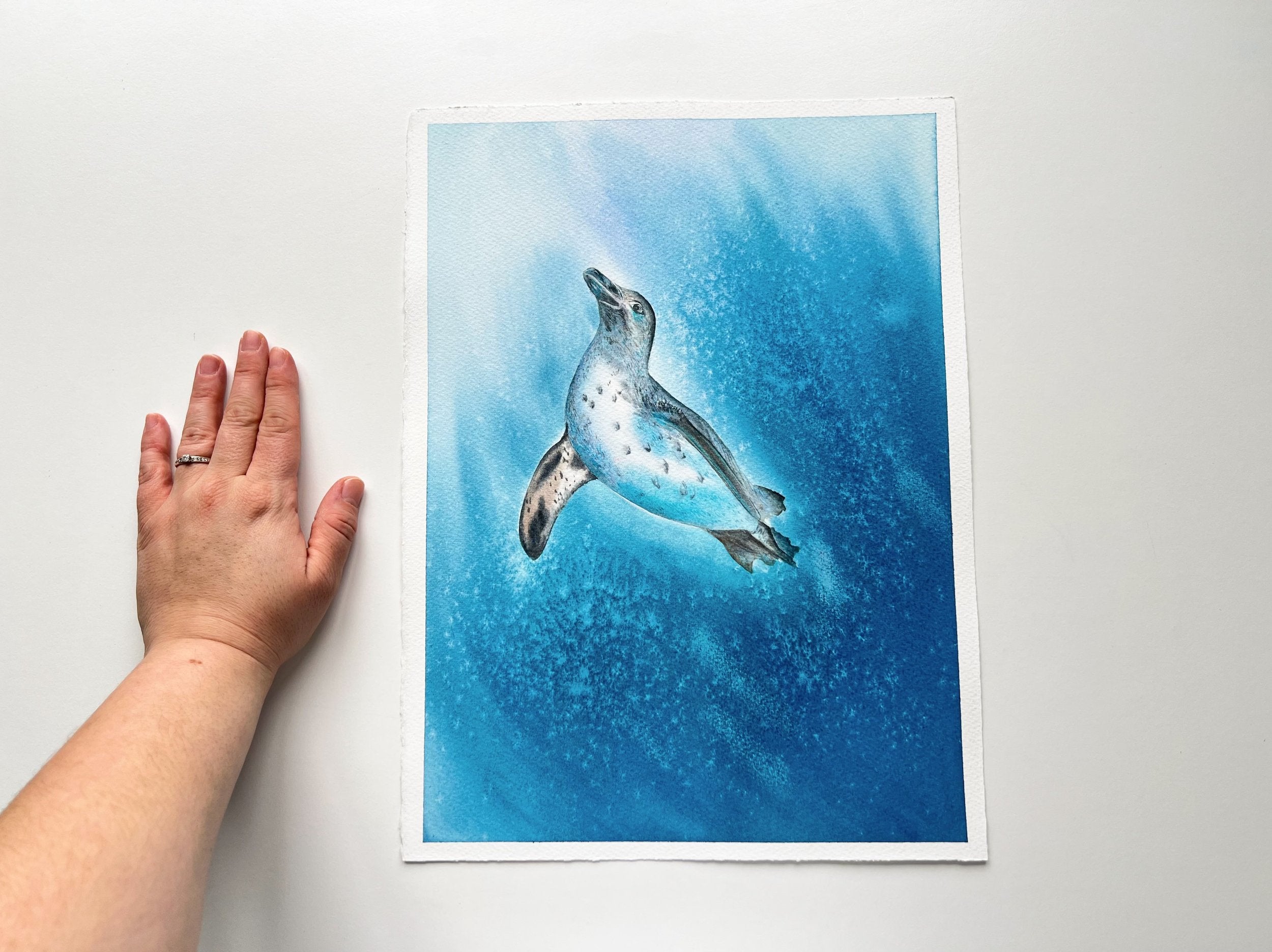 Galapagos Penguin  - Original Watercolor Painting