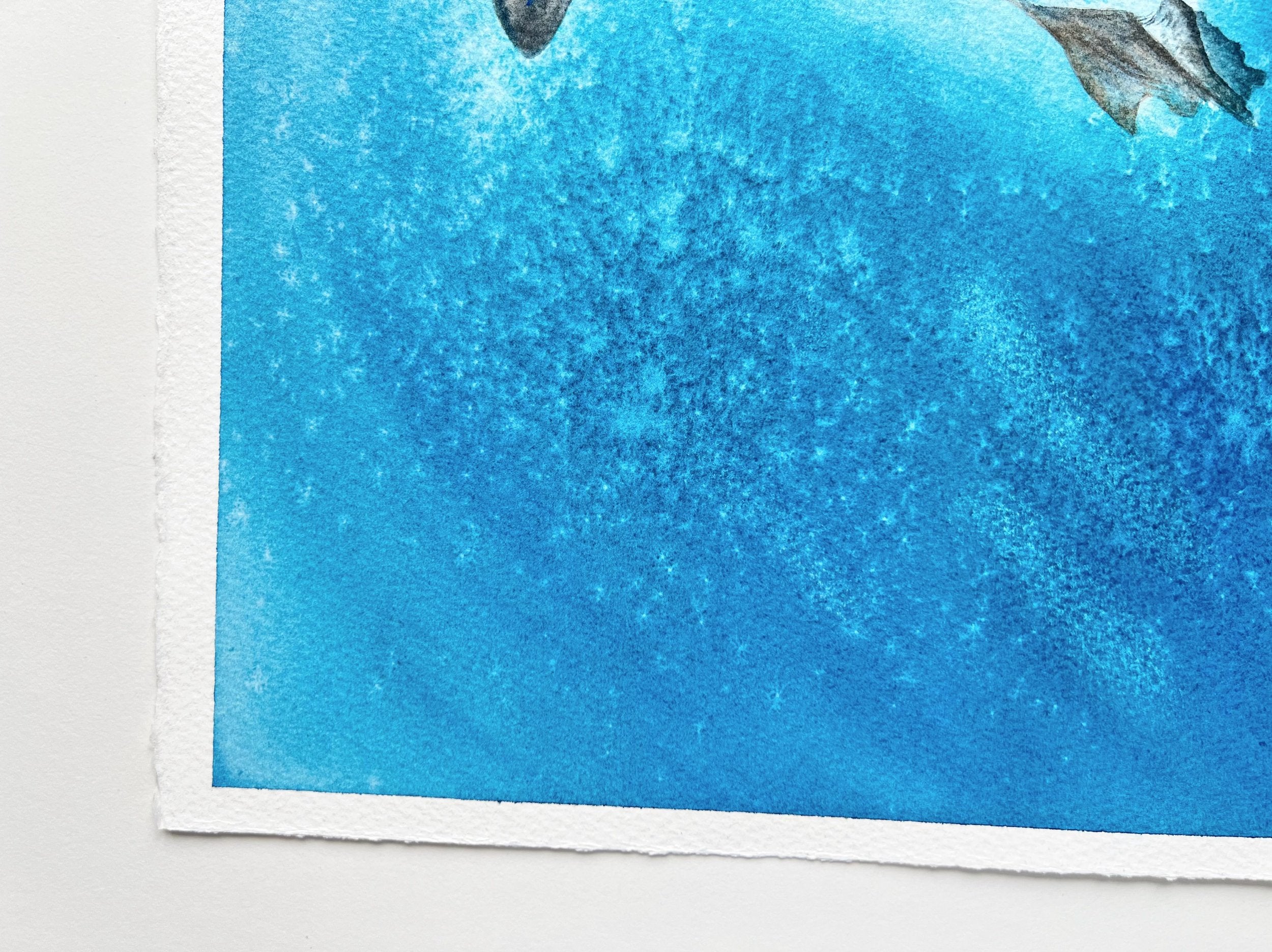 Galapagos Penguin  - Original Watercolor Painting