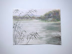 River Reflections - Original Watercolor Painting of Lake Landscape with Soft Reeds