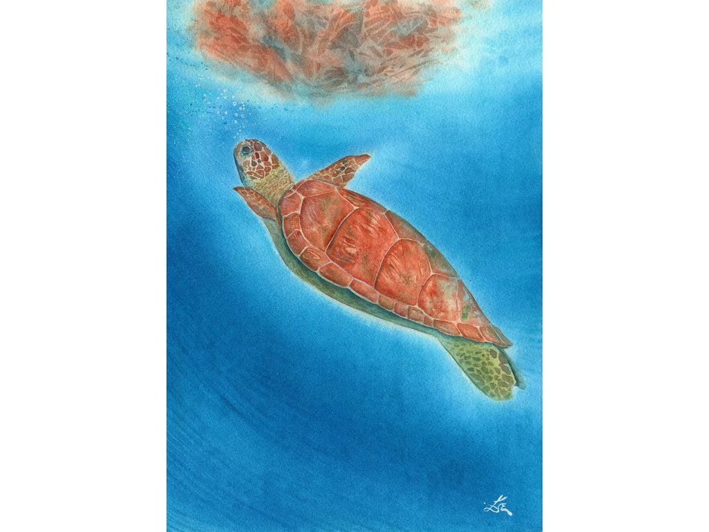 Sea Turtle - Art Print