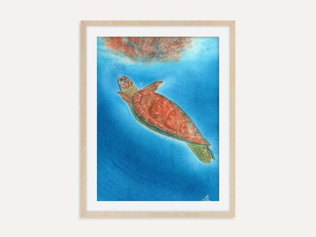 Sea Turtle - Art Print