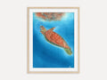Sea Turtle - Art Print