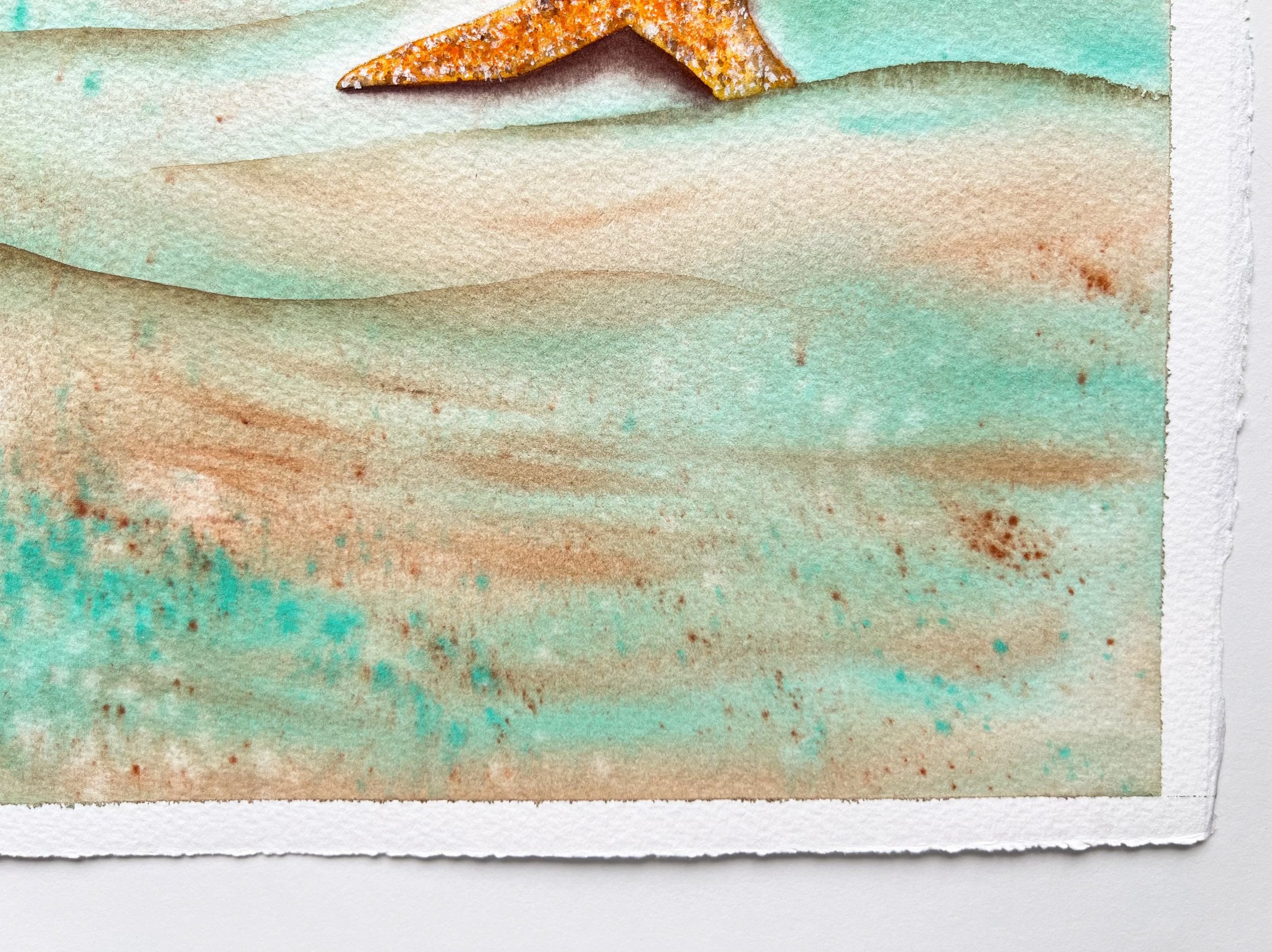 Starfish  - Original Watercolor Painting