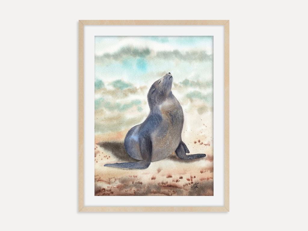 Sunbathing Seal - Art Print