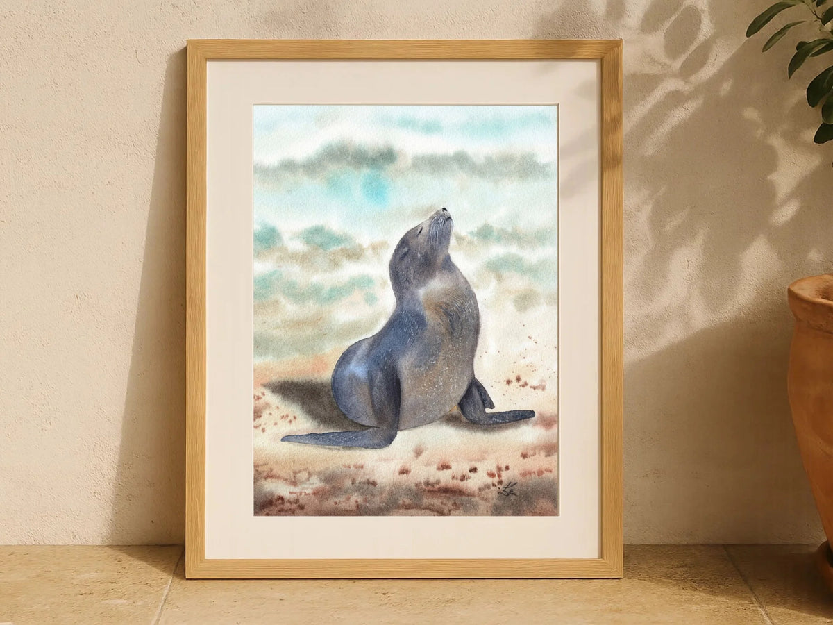 Sunbathing Seal - Art Print