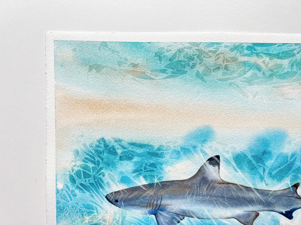 Sunlit Shark  - Original Watercolor Painting of a Blue Shark