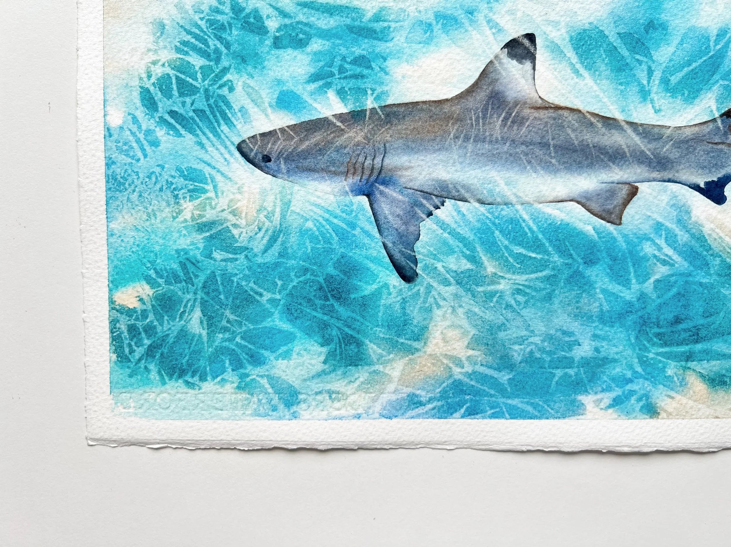 Sunlit Shark  - Original Watercolor Painting of a Blue Shark