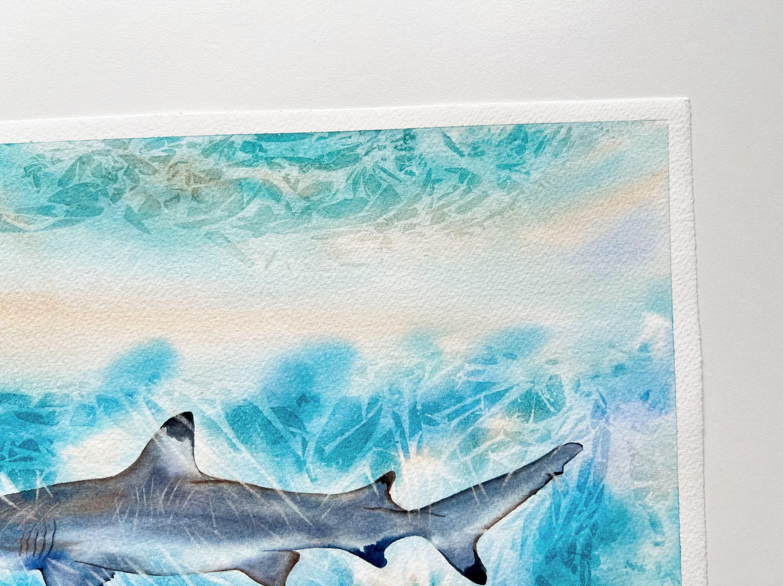 Sunlit Shark  - Original Watercolor Painting of a Blue Shark