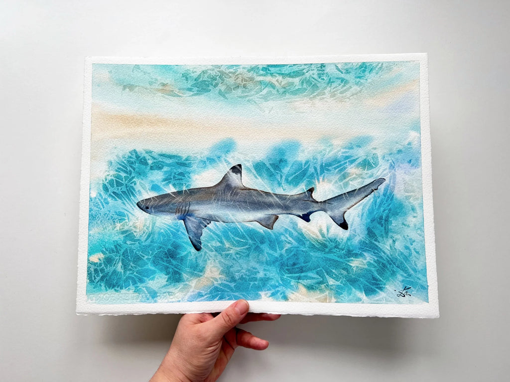 Sunlit Shark  - Original Watercolor Painting of a Blue Shark