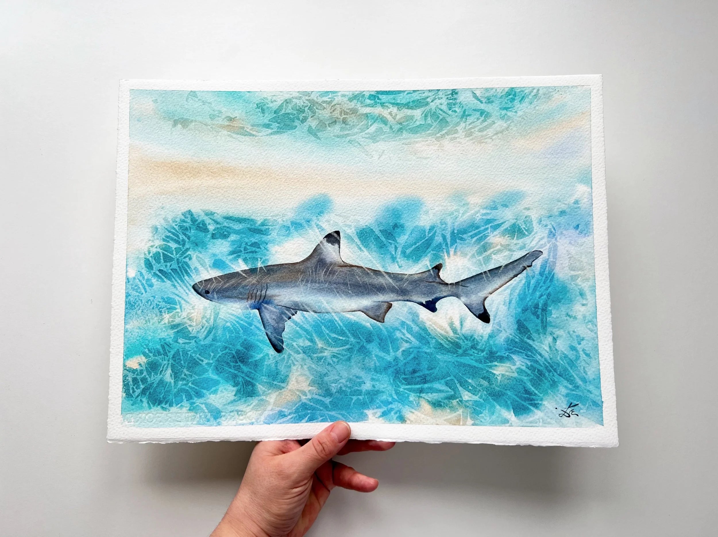 Sunlit Shark  - Original Watercolor Painting of a Blue Shark
