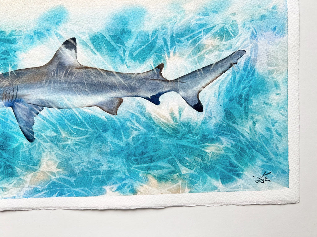 Sunlit Shark  - Original Watercolor Painting of a Blue Shark