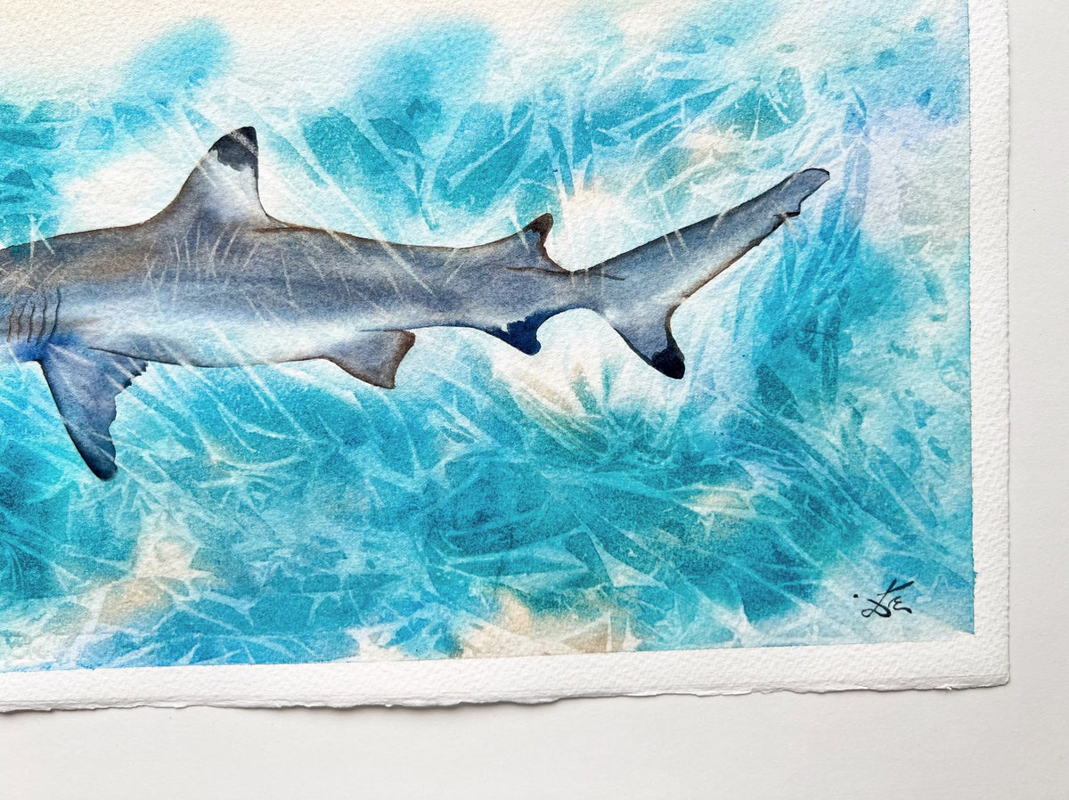 Sunlit Shark  - Original Watercolor Painting of a Blue Shark