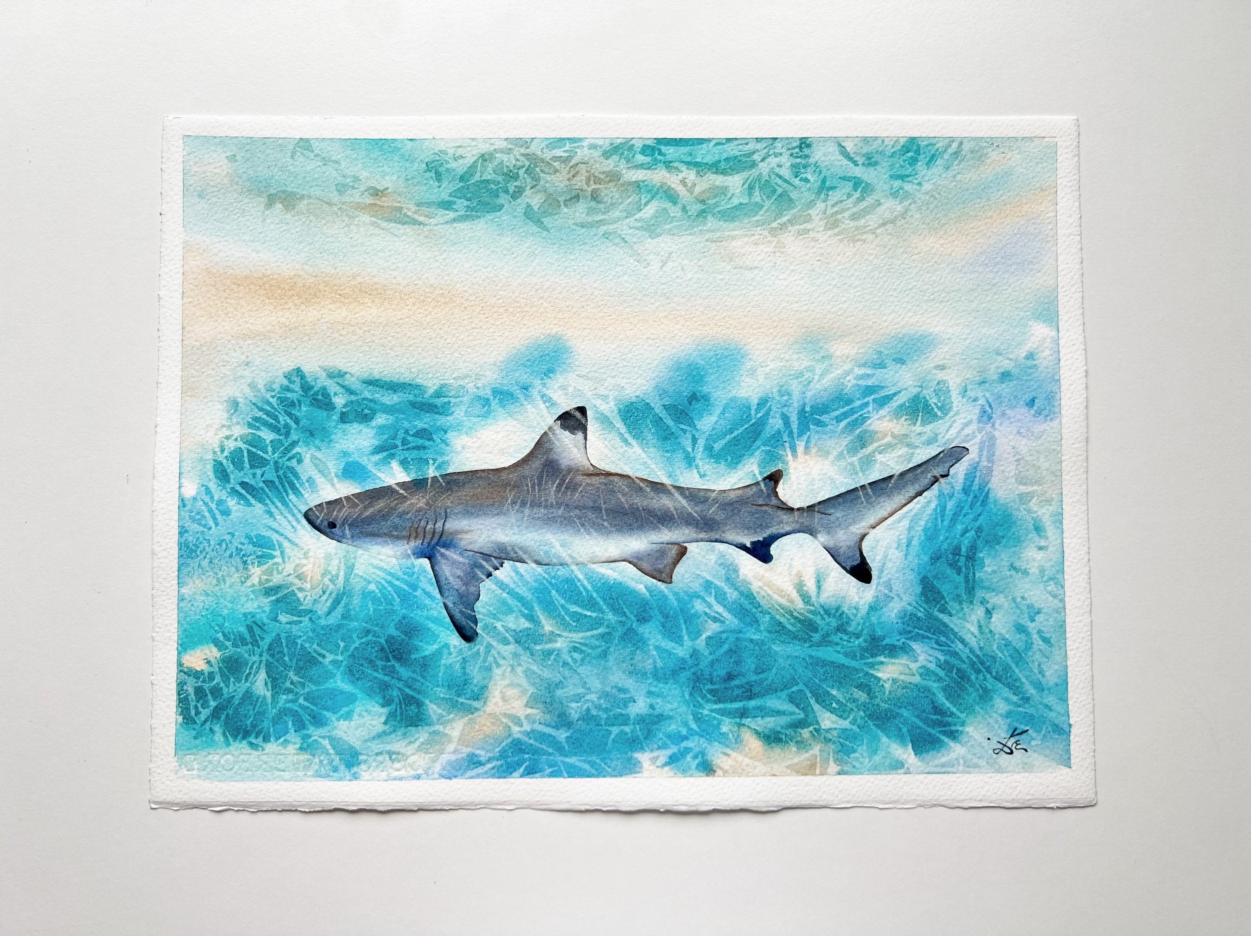 Sunlit Shark  - Original Watercolor Painting of a Blue Shark