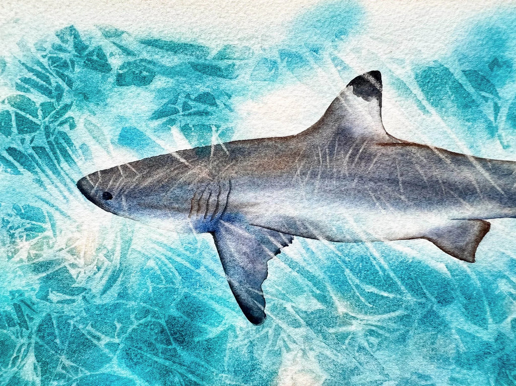 Sunlit Shark  - Original Watercolor Painting of a Blue Shark