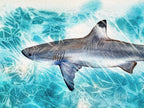 Sunlit Shark  - Original Watercolor Painting of a Blue Shark