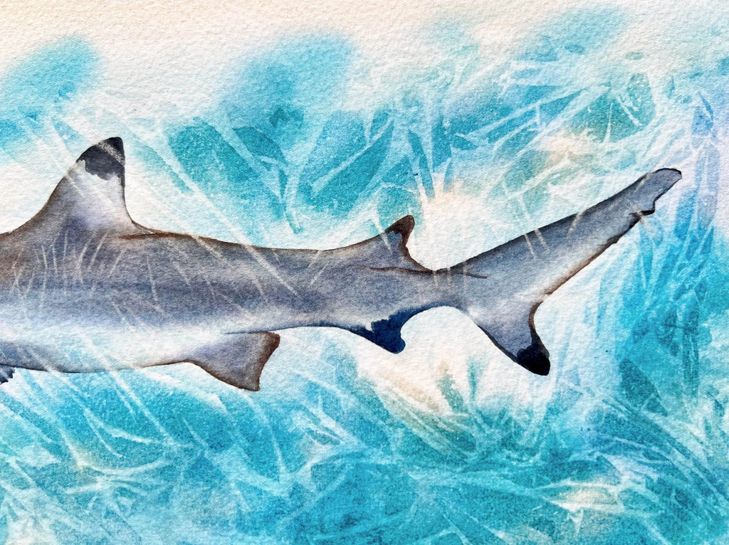 Sunlit Shark  - Original Watercolor Painting of a Blue Shark